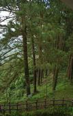Туры в отель Adrak Summer Sand Hill Resort Vagamon Туры в отель Adrak Summer Sand Hill Resort Vagamon