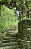 Туры в отель Adrak Summer Sand Hill Resort Vagamon Туры в отель Adrak Summer Sand Hill Resort Vagamon