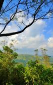 Туры в отель Adrak Summer Sand Hill Resort Vagamon Туры в отель Adrak Summer Sand Hill Resort Vagamon