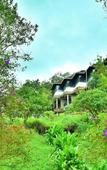 Туры в отель Adrak Summer Sand Hill Resort Vagamon Туры в отель Adrak Summer Sand Hill Resort Vagamon