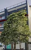 Туры в отель Hotel Noida Grand Туры в отель Hotel Noida Grand