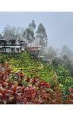 Туры в отель Chandys Drizzle Drops Munnar Top Station Туры в отель Chandys Drizzle Drops Munnar Top Station