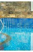 Туры в отель Chandys Drizzle Drops Munnar Top Station Туры в отель Chandys Drizzle Drops Munnar Top Station