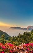 Туры в отель Chandys Drizzle Drops Munnar Top Station Туры в отель Chandys Drizzle Drops Munnar Top Station