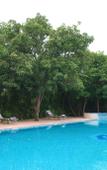 Туры в отель Sarovar Portico Gir Туры в отель Sarovar Portico Gir