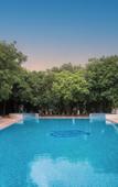 Туры в отель Sarovar Portico Gir Туры в отель Sarovar Portico Gir