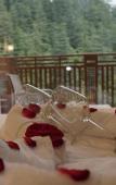 Туры в отель The Jungle Mountain Retreat Туры в отель The Jungle Mountain Retreat