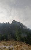 Туры в отель The Jungle Mountain Retreat Туры в отель The Jungle Mountain Retreat