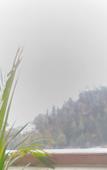 Туры в отель The Jungle Mountain Retreat Туры в отель The Jungle Mountain Retreat