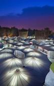 Туры в отель Hotel Blue Saffron Туры в отель Hotel Blue Saffron