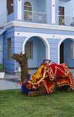 Туры в отель Red Tullip MD Valley Resort and Spa Туры в отель Red Tullip MD Valley Resort and Spa