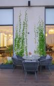 Туры в отель Rhythm Gurugram, Hotel & Suites, Sohna Road - Sector 68 Туры в отель Rhythm Gurugram, Hotel & Suites, Sohna Road - Sector 68