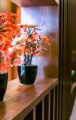 Туры в отель AR Suites Jewels Royale Туры в отель AR Suites Jewels Royale