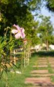 Туры в отель Aranya by Stories Туры в отель Aranya by Stories