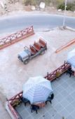 Туры в отель Rudraksh Hotel & Restaurant Туры в отель Rudraksh Hotel & Restaurant