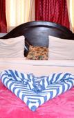 Туры в отель Rudraksh Hotel & Restaurant Туры в отель Rudraksh Hotel & Restaurant