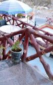 Туры в отель Rudraksh Hotel & Restaurant Туры в отель Rudraksh Hotel & Restaurant