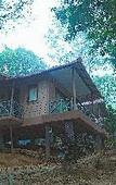 Туры в отель Sterling Vythiri Wayanad Туры в отель Sterling Vythiri Wayanad