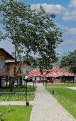 Туры в отель Sterling Vythiri Wayanad Туры в отель Sterling Vythiri Wayanad