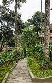 Туры в отель Sterling Vythiri Wayanad Туры в отель Sterling Vythiri Wayanad