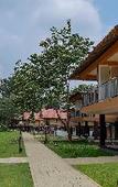 Туры в отель Sterling Vythiri Wayanad Туры в отель Sterling Vythiri Wayanad