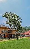 Туры в отель Sterling Vythiri Wayanad Туры в отель Sterling Vythiri Wayanad