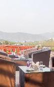 Туры в отель Hotel Royal Palm Туры в отель Hotel Royal Palm