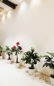 Туры в отель Madhav Residency Hotel & Banquet, Kalyan, Mumbai Туры в отель Madhav Residency Hotel & Banquet, Kalyan, Mumbai