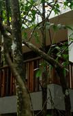 Туры в отель Wayanad Silverwoods Forest Resort & Spa Туры в отель Wayanad Silverwoods Forest Resort & Spa