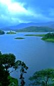 Туры в отель Wayanad Silverwoods Forest Resort & Spa Туры в отель Wayanad Silverwoods Forest Resort & Spa