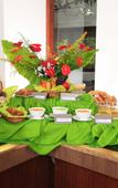 Туры в отель Wayanad Silverwoods Forest Resort & Spa Туры в отель Wayanad Silverwoods Forest Resort & Spa
