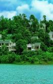 Туры в отель Wayanad Silverwoods Forest Resort & Spa Туры в отель Wayanad Silverwoods Forest Resort & Spa