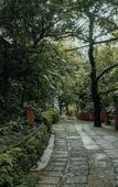 Туры в отель Wayanad Silverwoods Forest Resort & Spa Туры в отель Wayanad Silverwoods Forest Resort & Spa