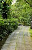 Туры в отель Wayanad Silverwoods Forest Resort & Spa Туры в отель Wayanad Silverwoods Forest Resort & Spa
