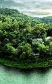 Туры в отель Wayanad Silverwoods Forest Resort & Spa Туры в отель Wayanad Silverwoods Forest Resort & Spa