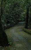 Туры в отель Wayanad Silverwoods Forest Resort & Spa Туры в отель Wayanad Silverwoods Forest Resort & Spa