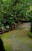 Туры в отель Wayanad Silverwoods Forest Resort & Spa Туры в отель Wayanad Silverwoods Forest Resort & Spa