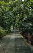 Туры в отель Wayanad Silverwoods Forest Resort & Spa Туры в отель Wayanad Silverwoods Forest Resort & Spa