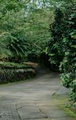 Туры в отель Wayanad Silverwoods Forest Resort & Spa Туры в отель Wayanad Silverwoods Forest Resort & Spa