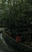 Туры в отель Wayanad Silverwoods Forest Resort & Spa Туры в отель Wayanad Silverwoods Forest Resort & Spa