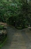Туры в отель Wayanad Silverwoods Forest Resort & Spa Туры в отель Wayanad Silverwoods Forest Resort & Spa
