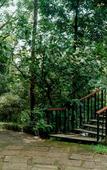 Туры в отель Wayanad Silverwoods Forest Resort & Spa Туры в отель Wayanad Silverwoods Forest Resort & Spa