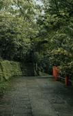 Туры в отель Wayanad Silverwoods Forest Resort & Spa Туры в отель Wayanad Silverwoods Forest Resort & Spa