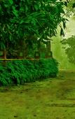 Туры в отель Wayanad Silverwoods Forest Resort & Spa Туры в отель Wayanad Silverwoods Forest Resort & Spa