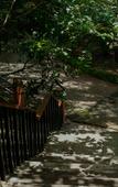 Туры в отель Wayanad Silverwoods Forest Resort & Spa Туры в отель Wayanad Silverwoods Forest Resort & Spa