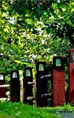 Туры в отель Wayanad Silverwoods Forest Resort & Spa Туры в отель Wayanad Silverwoods Forest Resort & Spa