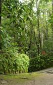 Туры в отель Wayanad Silverwoods Forest Resort & Spa Туры в отель Wayanad Silverwoods Forest Resort & Spa