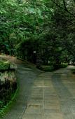Туры в отель Wayanad Silverwoods Forest Resort & Spa Туры в отель Wayanad Silverwoods Forest Resort & Spa
