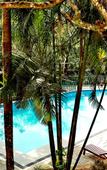 Туры в отель Wayanad Silverwoods Forest Resort & Spa Туры в отель Wayanad Silverwoods Forest Resort & Spa