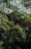 Туры в отель Wayanad Silverwoods Forest Resort & Spa Туры в отель Wayanad Silverwoods Forest Resort & Spa